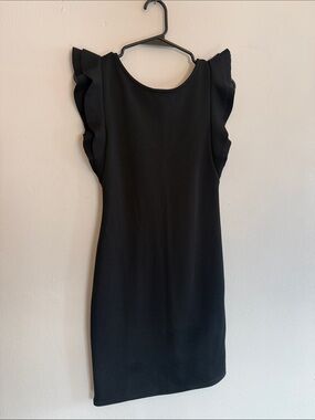 Elegant Black Ruffle Sleeve Mini Dress